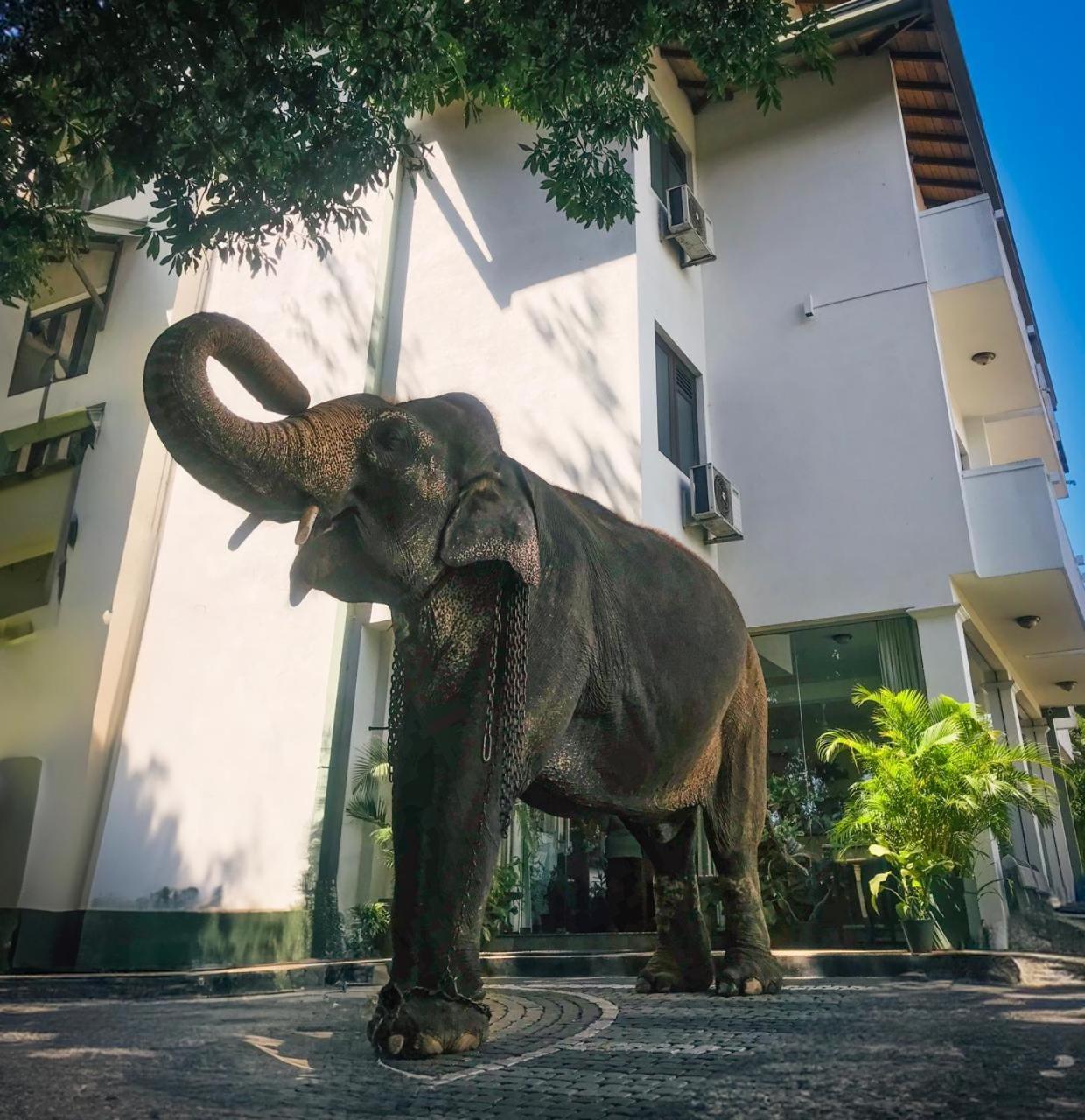 Hotel Yo Kandy Ngoại thất bức ảnh